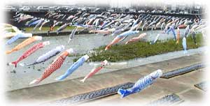 koinobori.jpg