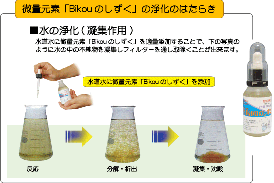 微量元素「Bikouのしずく」の浄化のはたらき