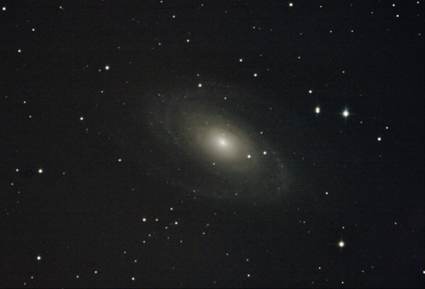 M81