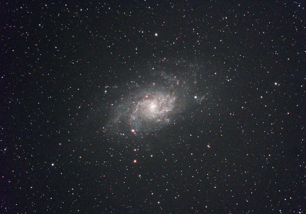 M33