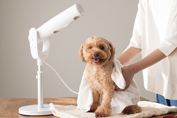 ペットドライヤー 犬用ドライヤー