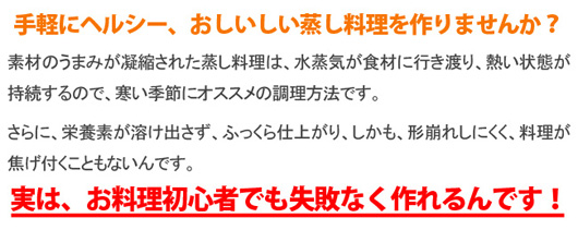 MST-750 電気蒸し器「蒸し一番」