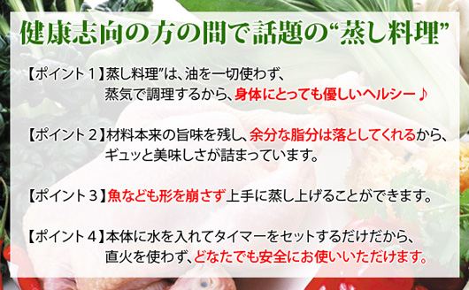 MST-750 電気蒸し器「蒸し一番」