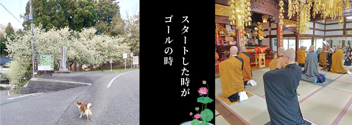 �����@�@������