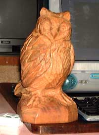 owl_2_13.jpg