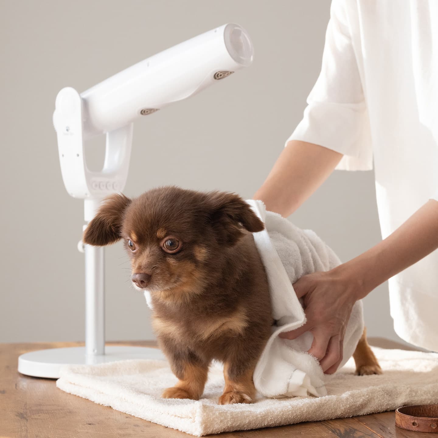 ペット用ドライヤー ペットドライヤー Petion Slim ペット用品 PSM-1100