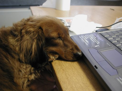 This picture is for quick loading of picture.