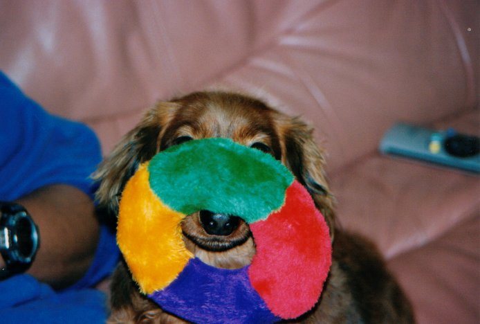 This picture is for quick loading of picture.