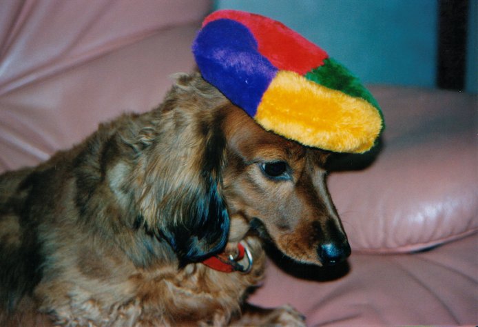 This picture is for quick loading of picture.