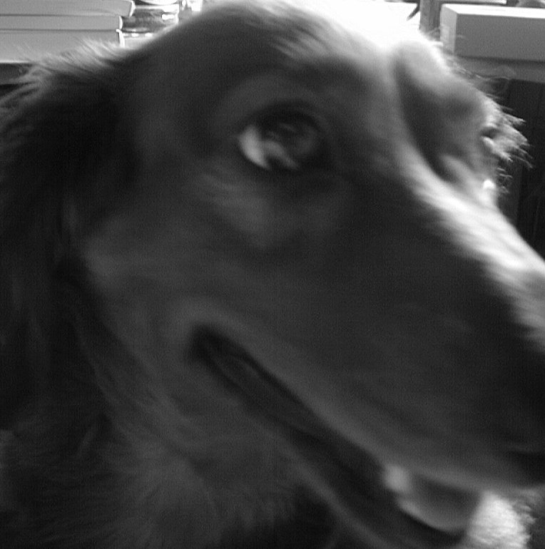 This picture is for quick loading of picture.