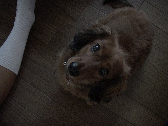 This picture is for quick loading of picture.