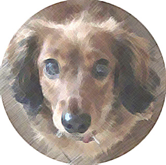 This picture is for quick loading of picture.